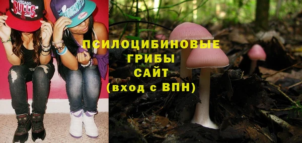 дурь Алзамай