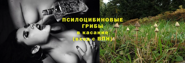 дурь Алзамай