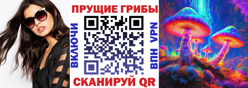 Купить  Емва  Псилоцибиновые грибы мицелий 